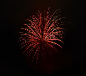 Low angle view of firework display at night