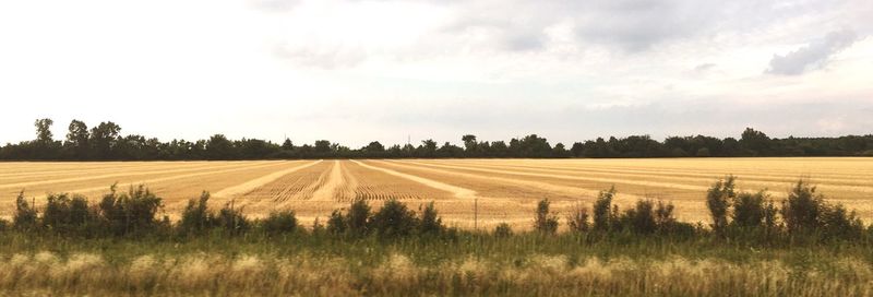 Scenic view of field against cloudy sky