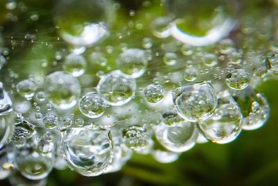 Close-up of water drops on leaf