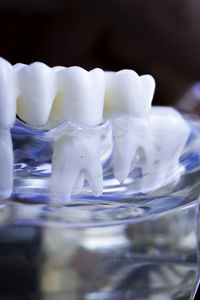 Close-up of artificial teeth