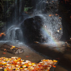 View of waterfall in forest