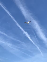 Low angle view of airplane flying in sky