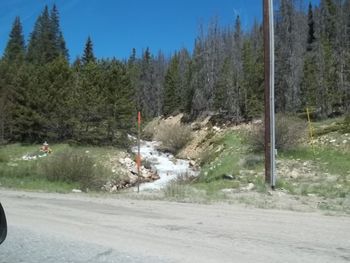 Road passing through trees