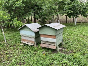 View of bee on grassy field