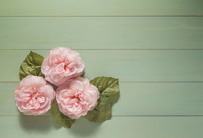 Close-up of pink roses on table