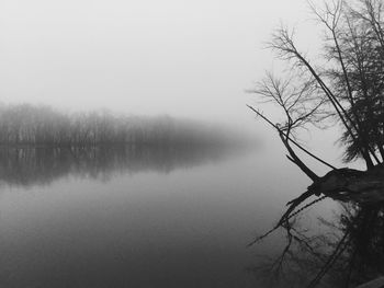 Reflection of bare trees in lake against sky