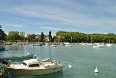 Sailboats moored in sea against sky