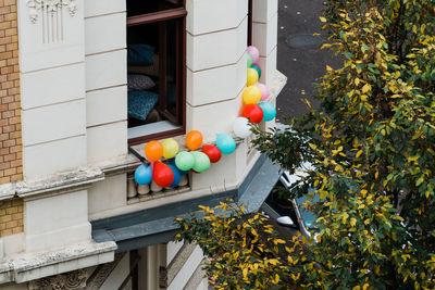 Colorful ballons hanging out of a window with a colorful tree in front