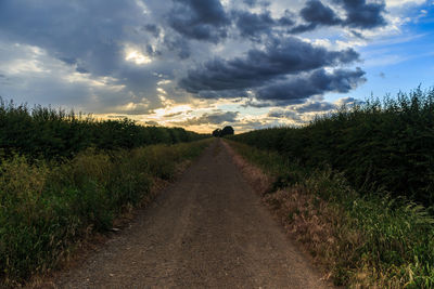 Dirt road amidst plants on field against sky