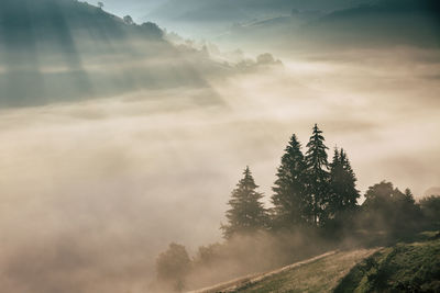 Summer sunrise in the transylvanian village