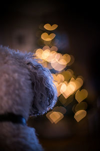 Close-up of illuminated christmas lights at sunset