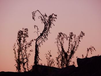 Low angle view of built structure at sunset
