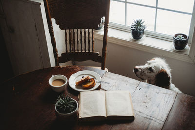 High angle view of cat on table