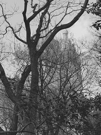 Low angle view of bare trees against sky