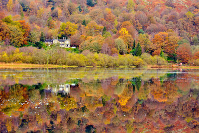 Scenic view of lake in forest during autumn