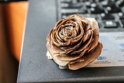 Close-up of rose on table