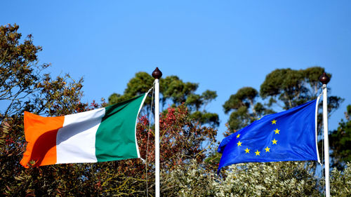 Low angle view of flag flags against blue sky