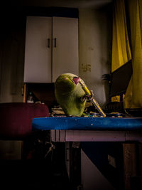 View of parrot perching on table