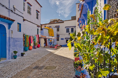 Morocco is the blue city of chefchaouen, endless streets painted in blue color