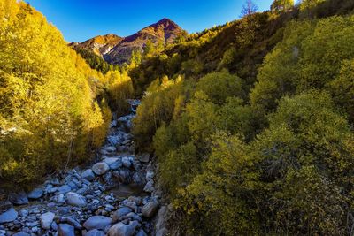 Scenic view of mountains during autumn