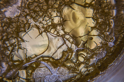 High angle view of bubbles in water