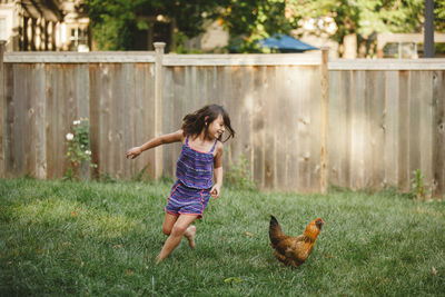 A happy child plays barefoot with a chicken in her backyard garden