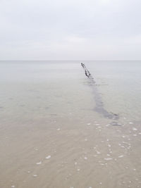 Scenic view of seascape against sky