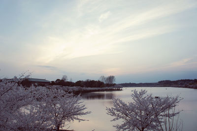 Scenic view of lake against sky during winter