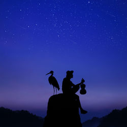 Low angle view of silhouette man and bird on rock against star field