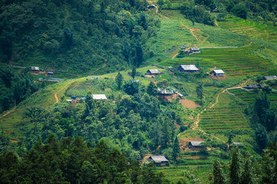 Scenic view of green landscape
