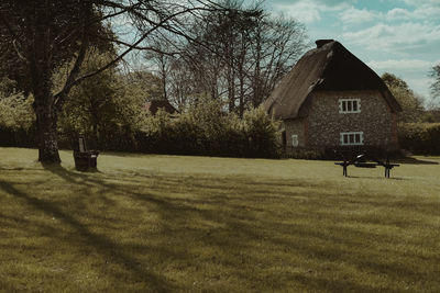 Trees and houses on field against sky