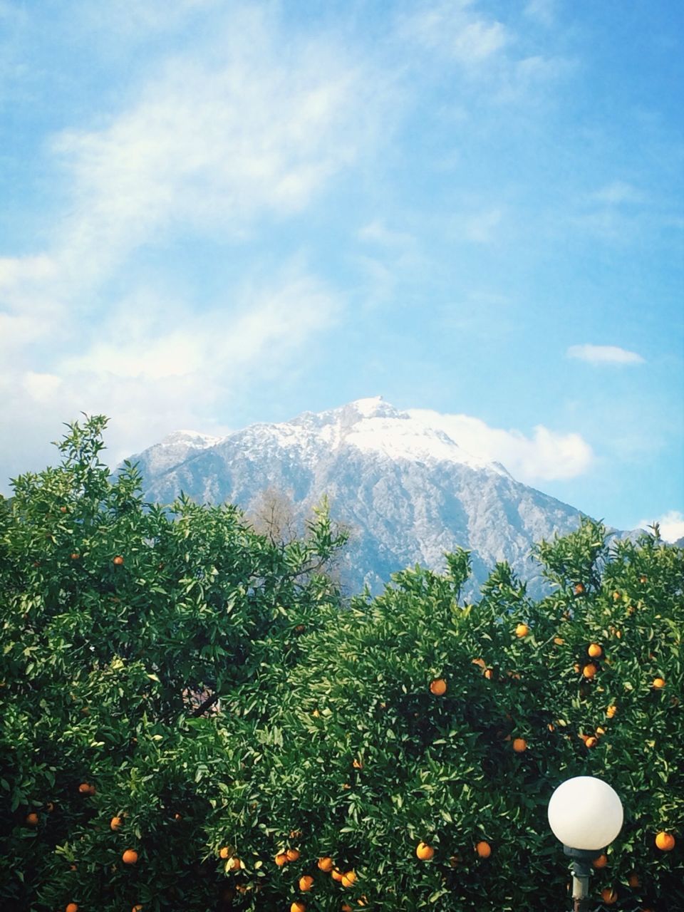 mountain, sky, beauty in nature, tranquility, scenics, tranquil scene, nature, mountain range, cloud - sky, growth, landscape, plant, cloud, green color, day, non-urban scene, blue, idyllic, no people, outdoors