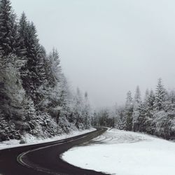 Snow covered trees against clear sky