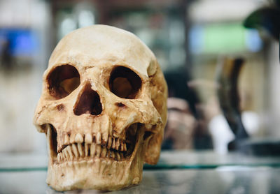 Close-up of human skull on table