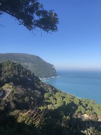 Scenic view of sea against clear blue sky