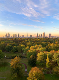 Trees and buildings against sky during sunset