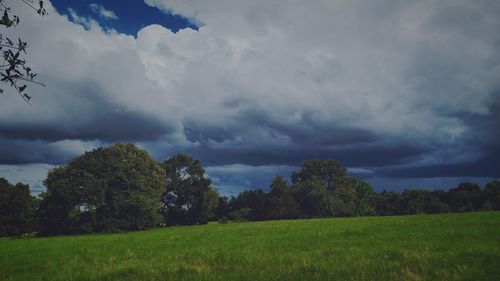 Scenic view of grassy field against cloudy sky