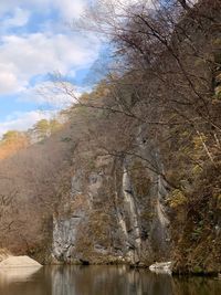Scenic view of rock formation amidst trees against sky