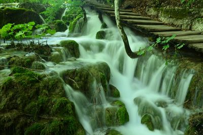 Scenic view of waterfall in forest