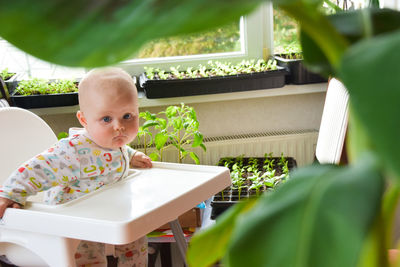 Portrait of cute baby sitting in s feeding chair in a room full of plants, springtime.
