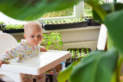 Portrait of cute baby