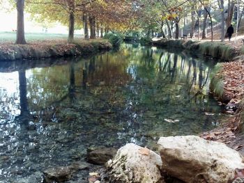 Reflection of trees in lake