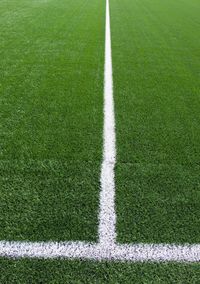 White line on green football field. middle line of soccer playground