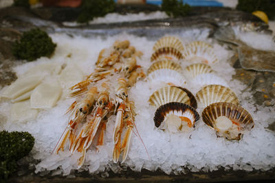 Close-up of food