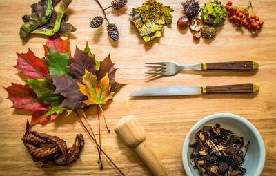 Directly above of herbs and leaves with mortar and pestle