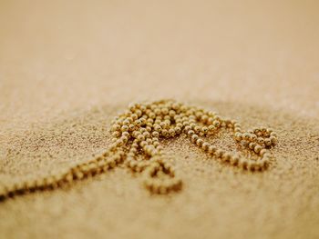 Close-up of bread on sand