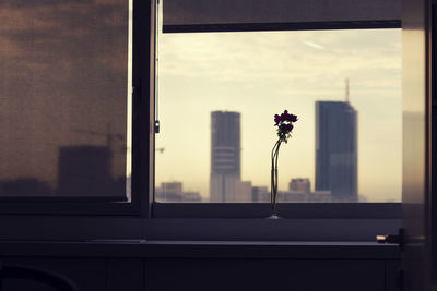 Flowers in vase by window at office