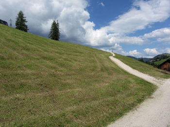 Footpath leading through a green alpine pasture at summer . a man is at the end of the way