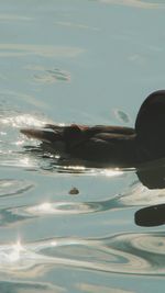 Reflection of person swimming in sea