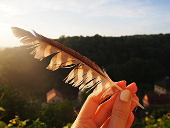 Close-up of hand holding bird flying against sky